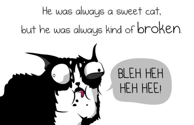 domino the cat  - the oatmeal