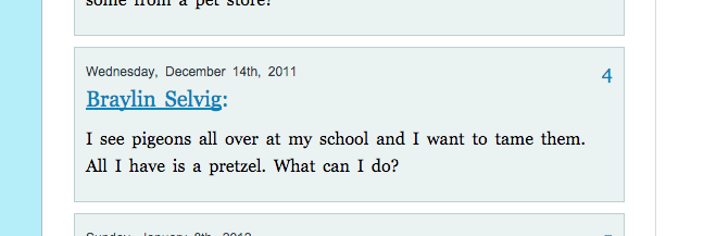 "I see pigeons all over at my school and I want to tame them. All I have is a pretzel. What can I do?"